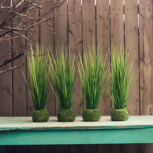 19.75" ONION GRASS IN GRASS BASE