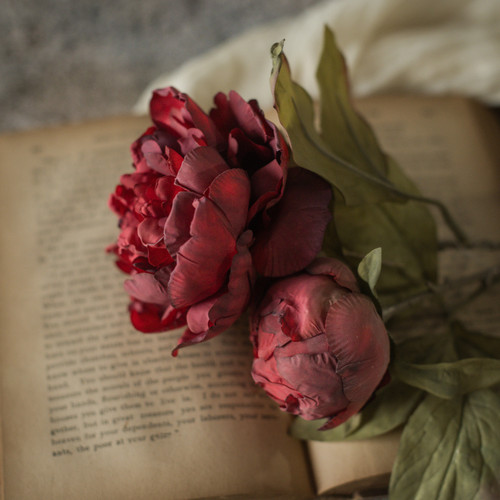 13" RED DRIED ROSE & BUD SPRAY