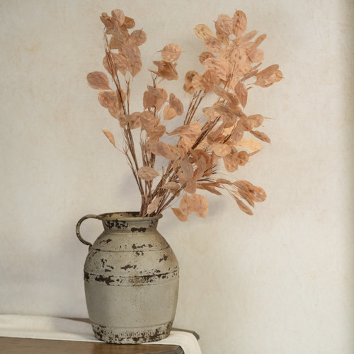 LIGHT BROWN SILVER DOLLAR STEM