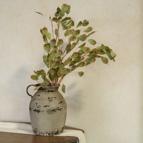 GREEN SILVER DOLLAR STEM