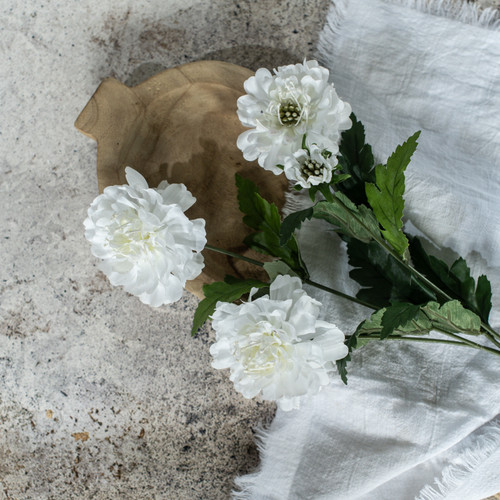 26" WHITE SCABIOSA SPRAY