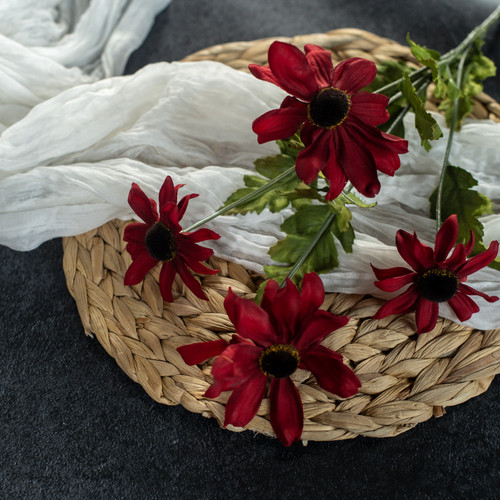 25" RED BLACK EYED SUSAN STEM
