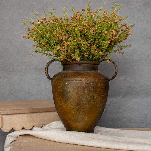 14" BURNT ORANGE STONECROP BUSH
