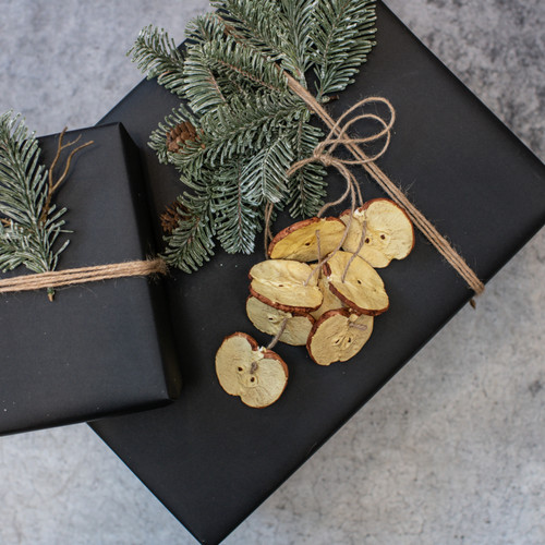12" APPLE SLICE HANGING ORNAMENT