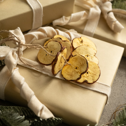 12" APPLE SLICE HANGING ORNAMENT