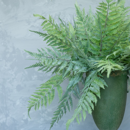 20" WHITEWASHED BOSTON FERN BUNDLE