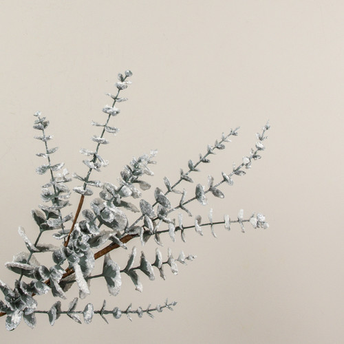 26" SNOWY EUCALYPTUS SPRAY
