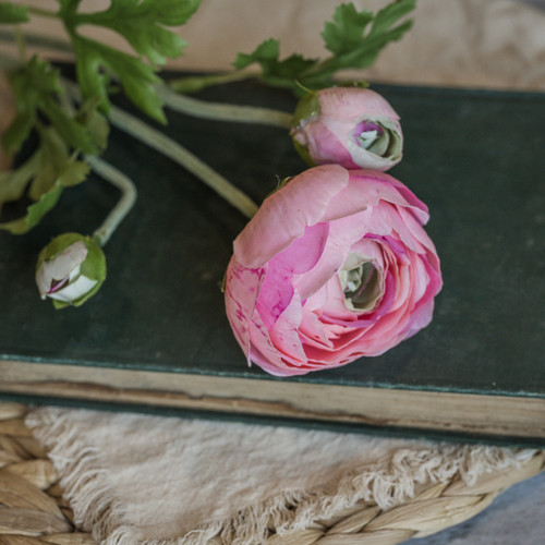 20" SOFT TOUCH PINK RANUNCULUS STEM