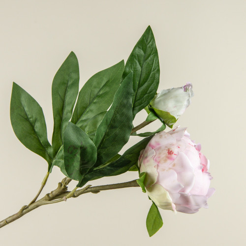 24" SOFT TOUCH LIGHT PINK PEONY STEM