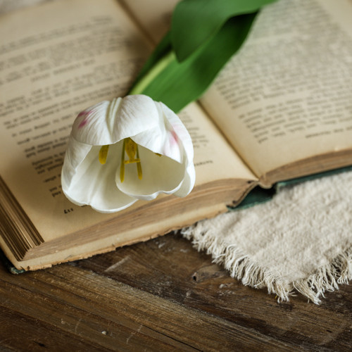 21.5" SOFT TOUCH WHITE TULIP STEM