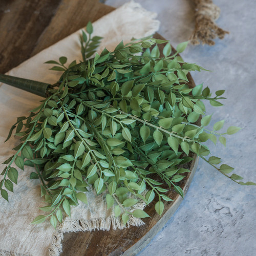 15" MINI SMILAX  BUSH