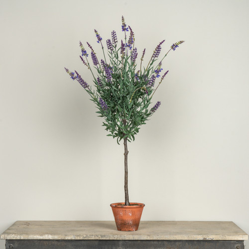 27" POTTED LAVENDER TREE
