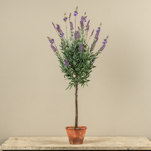 3' POTTED LAVENDER TREE