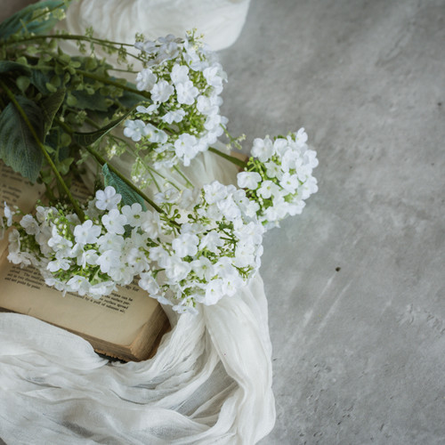 20" WHITE WILD HYDRANGEA BUSH