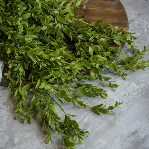 36" RUSCUS LEAF HANGING BUSH