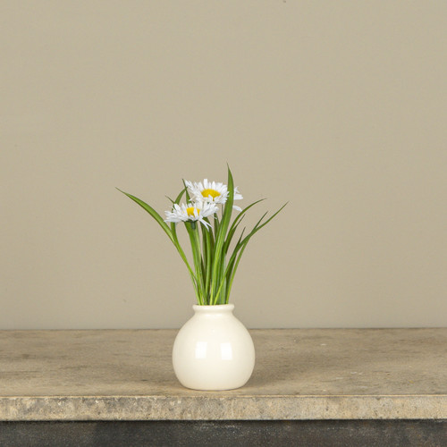 7" WHITE DAISY IN WHITE POT