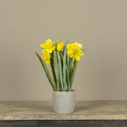 12" YELLOW POTTED DAFFODIL