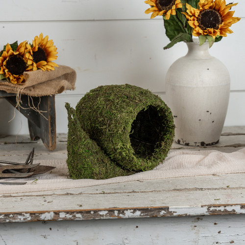 MOSS SNAIL