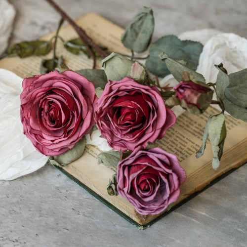 27.25" WINE DRIED ROSE SPRAY