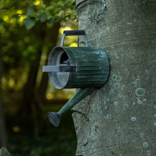 AGED GREEN WATERING CAN WALL BIRDHOUSE