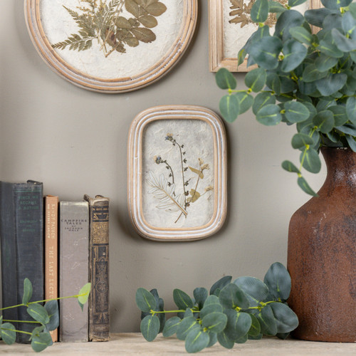 7.25" PRESSED BLUE & TAN FLOWER IN FRAME