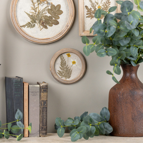 5.25" PRESSED WHITE FLOWER IN ROUND FRAME