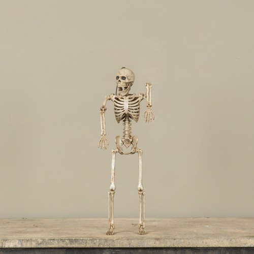 POSEABLE SKELETON