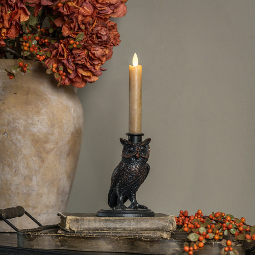 5.5" BLACK OWL TAPER CANDLE HOLDER