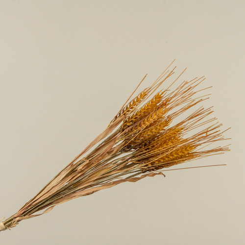 21" BROWN WHEAT BUNDLE