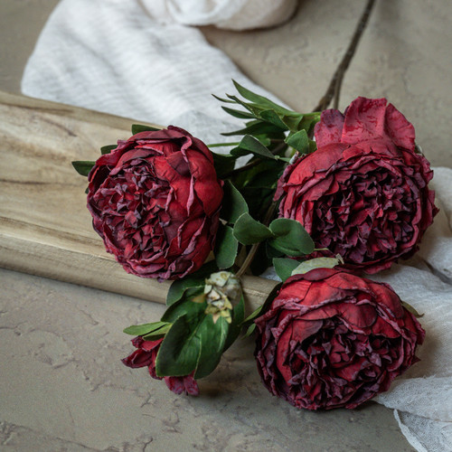 25.5" RED DRIED PEONY SPRAY