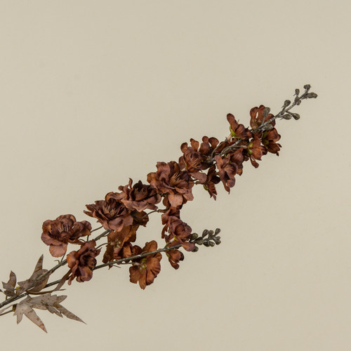 34" BROWN LARKSPUR SPRAY