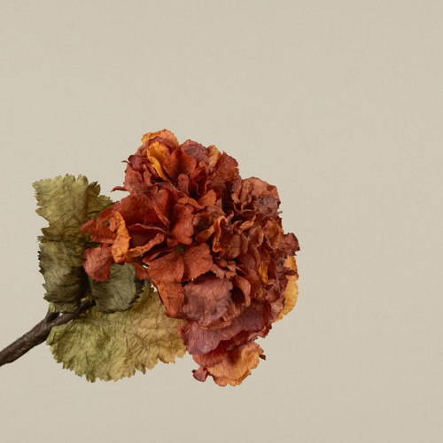 20" ORANGE HYDRANGEA STEM