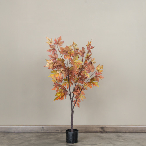 3' POTTED MAPLE LEAF TREE