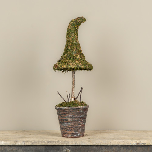 24" POTTED MOSS WITCH'S HAT