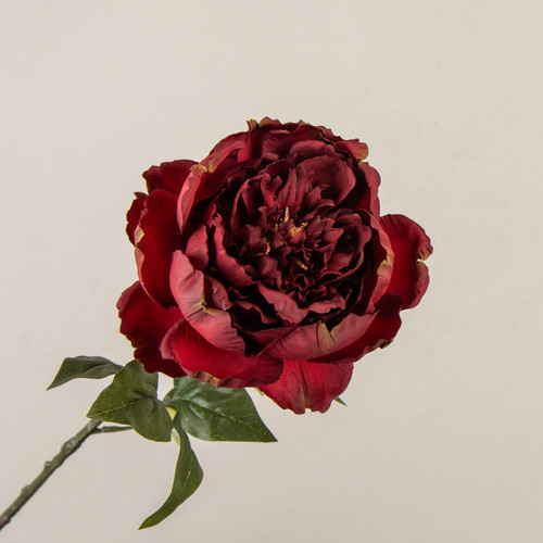 28" BURGUNDY PEONY STEM