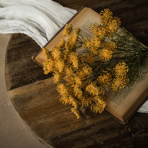 22" GOLDEN QUEEN ANNE'S LACE BUNDLE