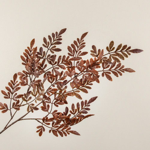 26" BROWN FERN SPRAY