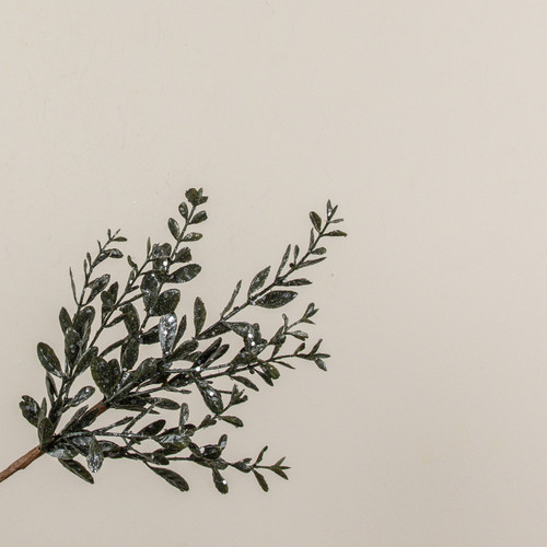 16" GLITTERED RUSCUS PICK