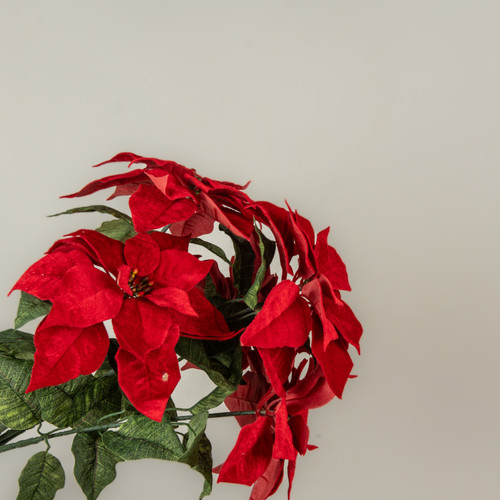 23" RED POINSETTIA BUSH