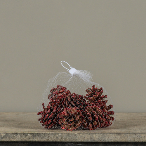BAG OF RED PINECONES