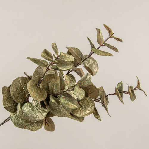 GREEN EUCALYPTUS STEM