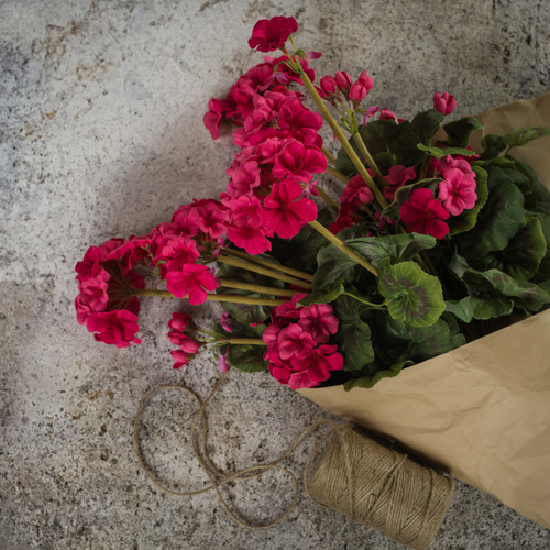 19.5" DARK PINK GERANIUM BUSH
