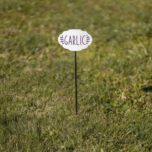 GARLIC GARDEN STAKE