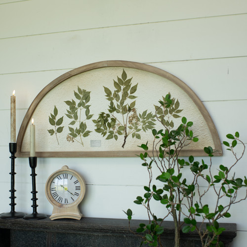 36.25" ARCHED PRESSED BOTANICAL PRINT