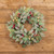 24" GREEN & PINK MIXED LEAVES W/ BERRIES WREATH