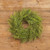 24" MIXED FERN WREATH