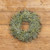 24" SOFT GREEN TEA LEAF WREATH