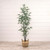 5' MINI BAMBOO TREE IN BLACK POT