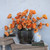 32.75" ORANGE POPPY SPRAY