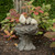 GARDEN BIRD NEST BIRD BATH